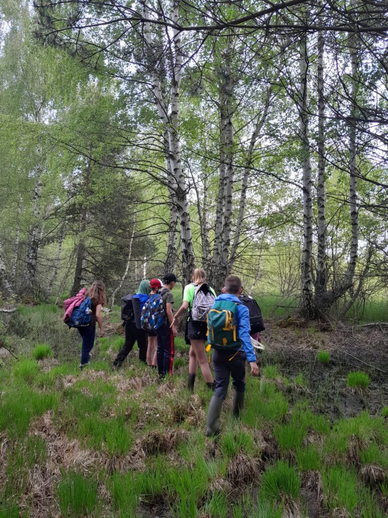 exploration des tourbières