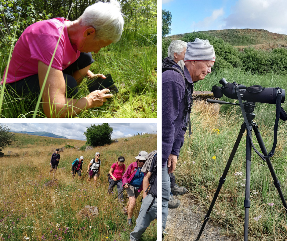 sortie senior sortie photo, observation de la nature, marche douce