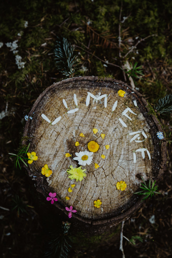 Land art lors de séance en éco-psychologie